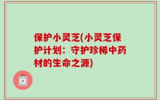 保护小灵芝(小灵芝保护计划：守护珍稀中药材的生命之源)