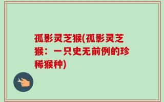 孤影灵芝猴(孤影灵芝猴：一只史无前例的珍稀猴种)
