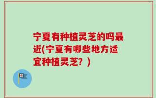 宁夏有种植灵芝的吗最近(宁夏有哪些地方适宜种植灵芝？)