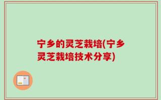 宁乡的灵芝栽培(宁乡灵芝栽培技术分享)