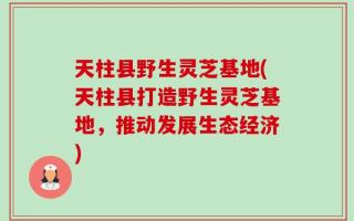 天柱县野生灵芝基地(天柱县打造野生灵芝基地，推动发展生态经济)