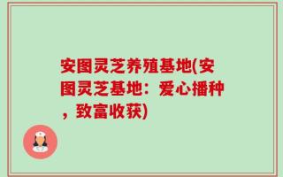 安图灵芝养殖基地(安图灵芝基地：爱心播种，致富收获)
