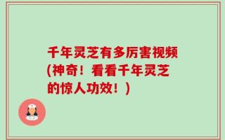千年灵芝有多厉害视频(神奇！看看千年灵芝的惊人功效！)