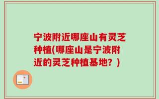 宁波附近哪座山有灵芝种植(哪座山是宁波附近的灵芝种植基地？)