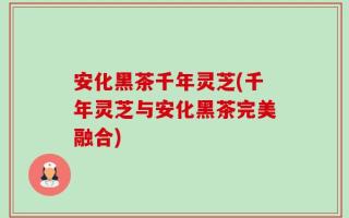 安化黑茶千年灵芝(千年灵芝与安化黑茶完美融合)