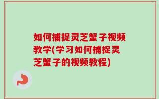 如何捕捉灵芝蟹子视频教学(学习如何捕捉灵芝蟹子的视频教程)