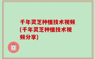 千年灵芝种植技术视频(千年灵芝种植技术视频分享)
