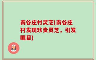 南谷庄村灵芝(南谷庄村发现珍贵灵芝，引发瞩目)