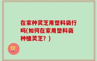 在家种灵芝用塑料袋行吗(如何在家用塑料袋种植灵芝？)