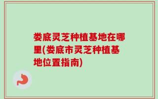 娄底灵芝种植基地在哪里(娄底市灵芝种植基地位置指南)