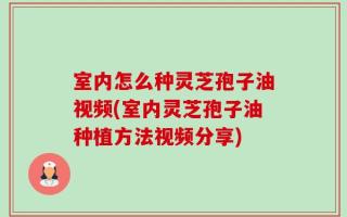 室内怎么种灵芝孢子油视频(室内灵芝孢子油种植方法视频分享)