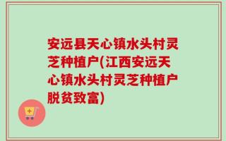 安远县天心镇水头村灵芝种植户(江西安远天心镇水头村灵芝种植户脱贫致富)