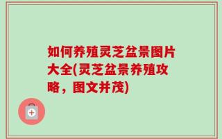 如何养殖灵芝盆景图片大全(灵芝盆景养殖攻略，图文并茂)