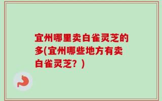 宜州哪里卖白雀灵芝的多(宜州哪些地方有卖白雀灵芝？)