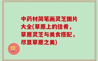 中药材简笔画灵芝图片大全(草原上的佳肴，草原灵芝与美食搭配，尽显草原之美)