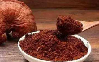 灵芝孢子粉每天食用量多少最合适? 灵芝孢子粉每天食用量多少最合适?