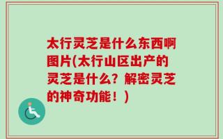 太行灵芝是什么东西啊图片(太行山区出产的灵芝是什么？解密灵芝的神奇功能！)