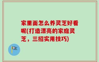 家里面怎么养灵芝好看呢(打造漂亮的家庭灵芝，三招实用技巧)