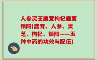 人参灵芝鹿茸枸杞鹿茸锁阳(鹿茸、人参、灵芝、枸杞、锁阳——五种中药的功效与配伍)