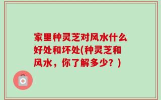 家里种灵芝对风水什么好处和坏处(种灵芝和风水，你了解多少？)