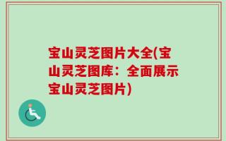 宝山灵芝图片大全(宝山灵芝图库：全面展示宝山灵芝图片)