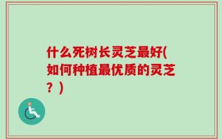 什么死树长灵芝最好(如何种植最优质的灵芝？)