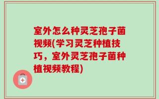 室外怎么种灵芝孢子菌视频(学习灵芝种植技巧，室外灵芝孢子菌种植视频教程)