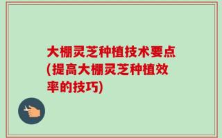 大棚灵芝种植技术要点(提高大棚灵芝种植效率的技巧)