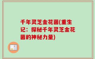 千年灵芝金花菌(重生记：探秘千年灵芝金花菌的神秘力量)