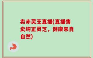 卖赤灵芝直播(直播售卖纯正灵芝，健康来自自然)
