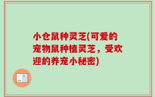 小仓鼠种灵芝(可爱的宠物鼠种植灵芝，受欢迎的养宠小秘密)