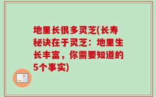 地里长很多灵芝(长寿秘诀在于灵芝：地里生长丰富，你需要知道的5个事实)