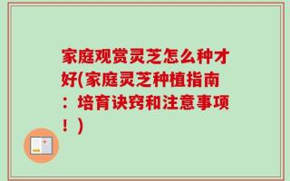 家庭观赏灵芝怎么种才好(家庭灵芝种植指南：培育诀窍和注意事项！)