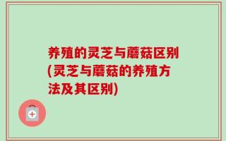 养殖的灵芝与蘑菇区别(灵芝与蘑菇的养殖方法及其区别)
