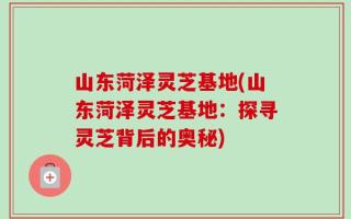 山东菏泽灵芝基地(山东菏泽灵芝基地：探寻灵芝背后的奥秘)