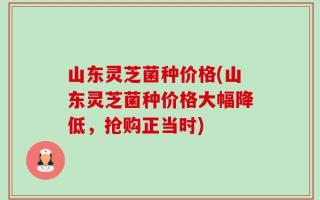 山东灵芝菌种价格(山东灵芝菌种价格大幅降低，抢购正当时)