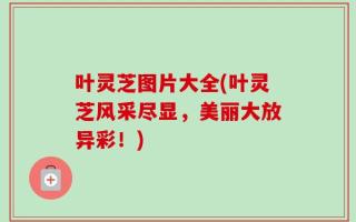 叶灵芝图片大全(叶灵芝风采尽显，美丽大放异彩！)