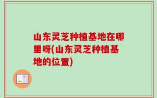 山东灵芝种植基地在哪里呀(山东灵芝种植基地的位置)