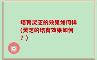 培育灵芝的效果如何样(灵芝的培育效果如何？)