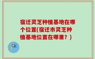 宿迁灵芝种植基地在哪个位置(宿迁市灵芝种植基地位置在哪里？)