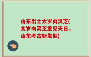 山东出土太岁肉灵芝(太岁肉灵芝重见天日，山东考古新发掘)