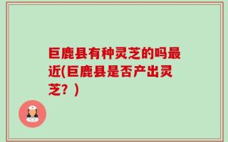 巨鹿县有种灵芝的吗最近(巨鹿县是否产出灵芝？)