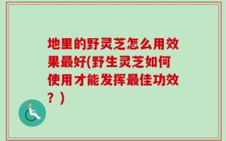 地里的野灵芝怎么用效果最好(野生灵芝如何使用才能发挥最佳功效？)