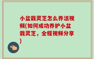 小盆栽灵芝怎么养活视频(如何成功养护小盆栽灵芝，全程视频分享)