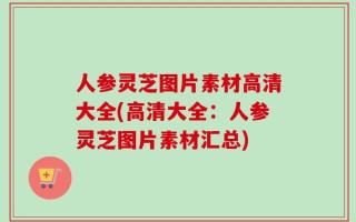 人参灵芝图片素材高清大全(高清大全：人参灵芝图片素材汇总)