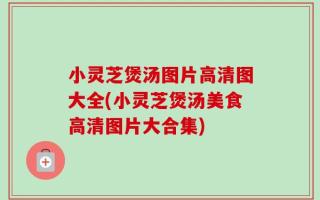 小灵芝煲汤图片高清图大全(小灵芝煲汤美食高清图片大合集)