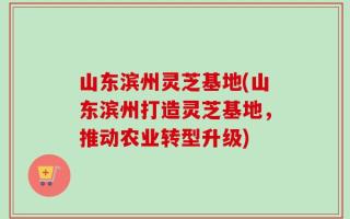 山东滨州灵芝基地(山东滨州打造灵芝基地，推动农业转型升级)