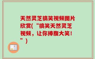 天然灵芝搞笑视频图片欣赏(“搞笑天然灵芝视频，让你捧腹大笑！”)