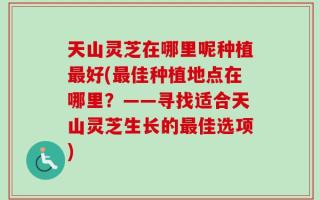 天山灵芝在哪里呢种植最好(最佳种植地点在哪里？——寻找适合天山灵芝生长的最佳选项)