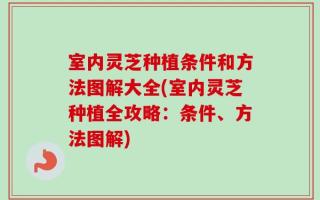 室内灵芝种植条件和方法图解大全(室内灵芝种植全攻略：条件、方法图解)